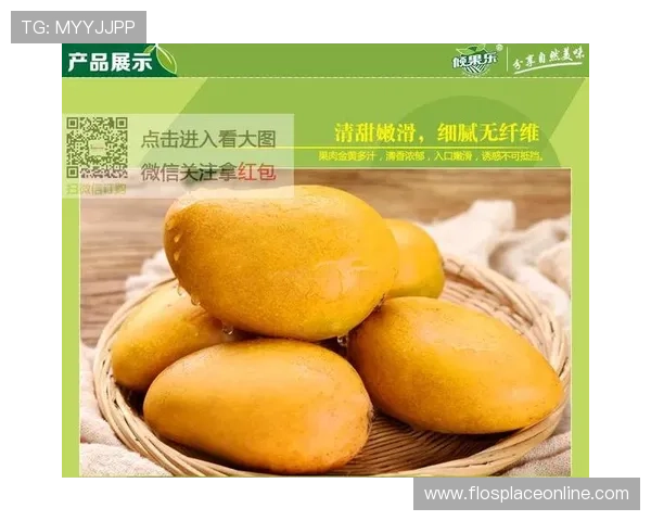 芒果体育平台的特色功能介绍，帮助用户更好地追踪自己关注的体育赛事